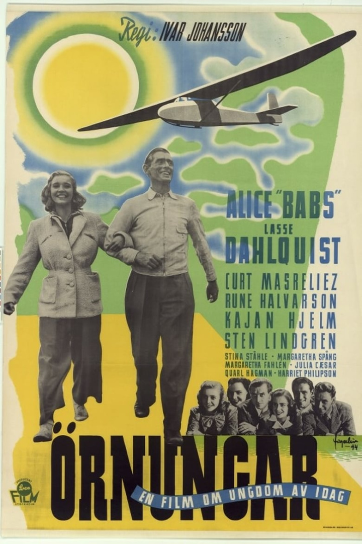 Young Eagles i gruppen Alla filmer hos Mohamad shop (482530)