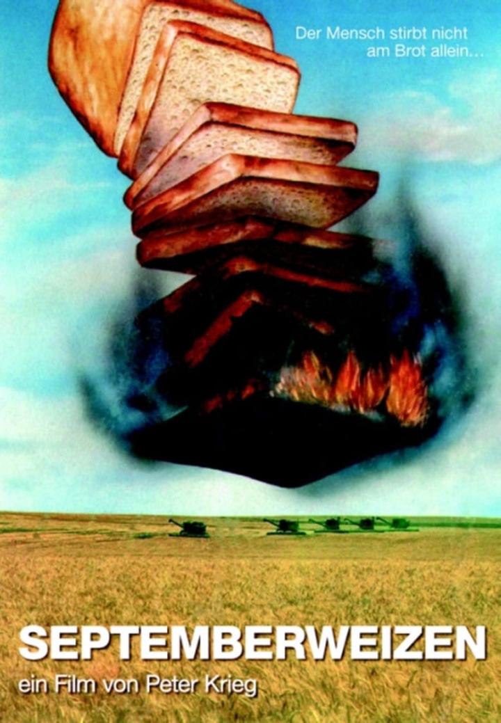 September Wheat i gruppen Alla filmer hos Mohamad shop (483076)