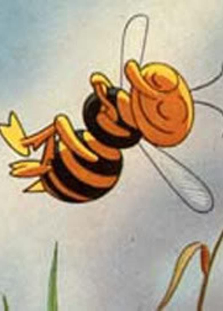 Weatherbeaten Melody i gruppen Alla filmer hos Mohamad shop (48338)