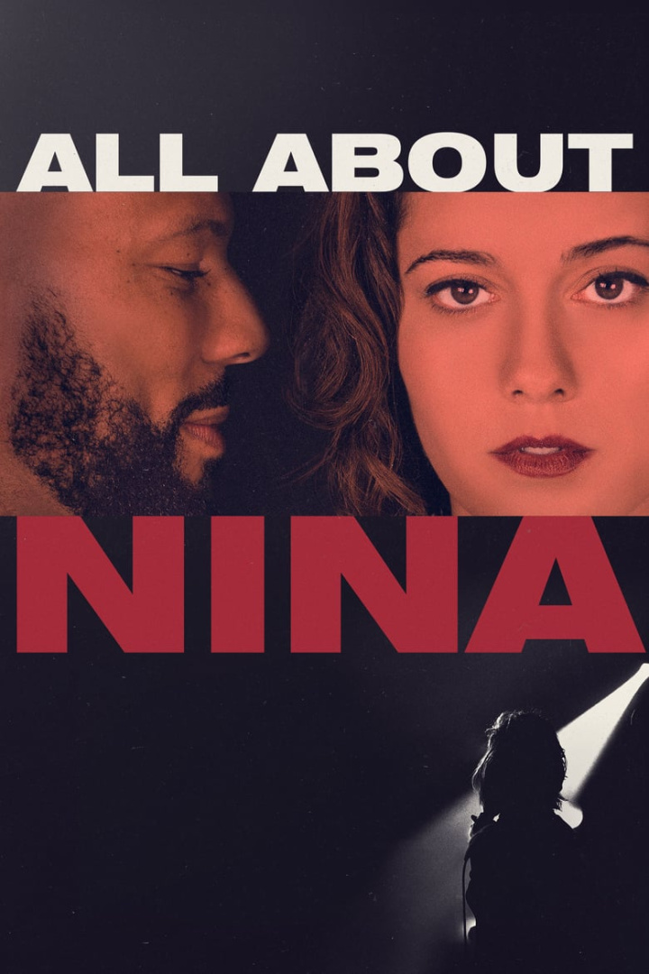 All About Nina i gruppen Alla filmer hos Mohamad shop (483435)