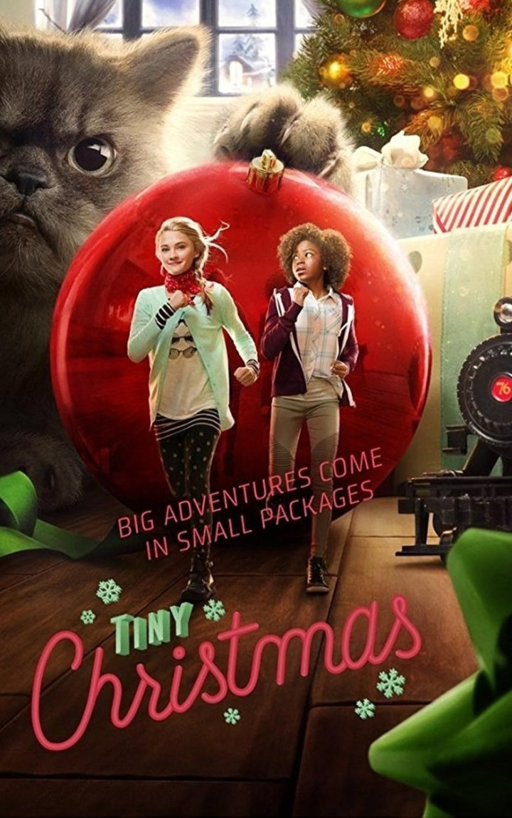 Tiny Christmas i gruppen Alla filmer hos Mohamad shop (483863)