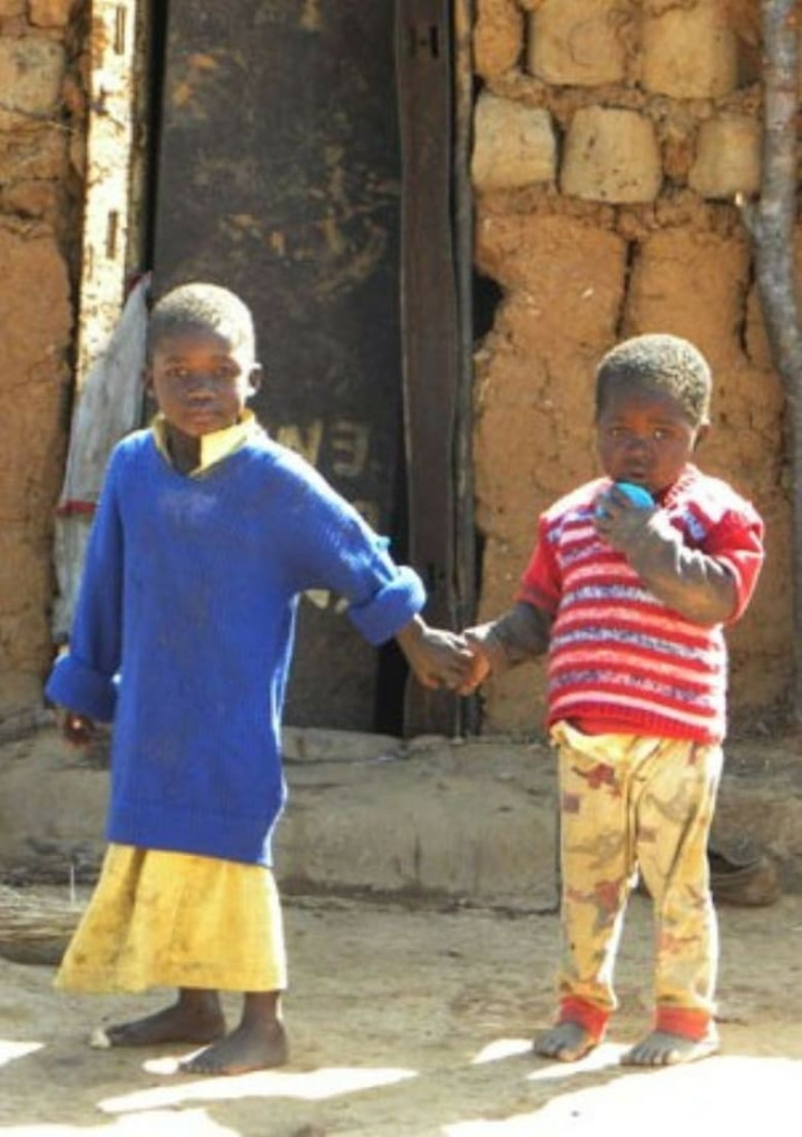 Zimbabwe\'s Forgotten Children i gruppen Alla filmer hos Mohamad shop (48424)