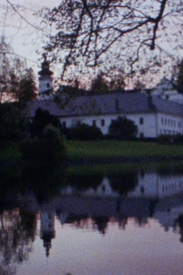 Paleni Carodejnic i gruppen Alla filmer hos Mohamad shop (484393)