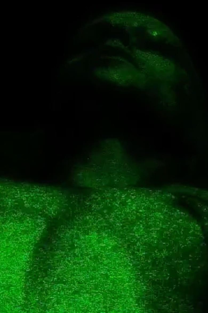 krotoplaxx diary disc 1.1 i gruppen Alla filmer hos Mohamad shop (484395)