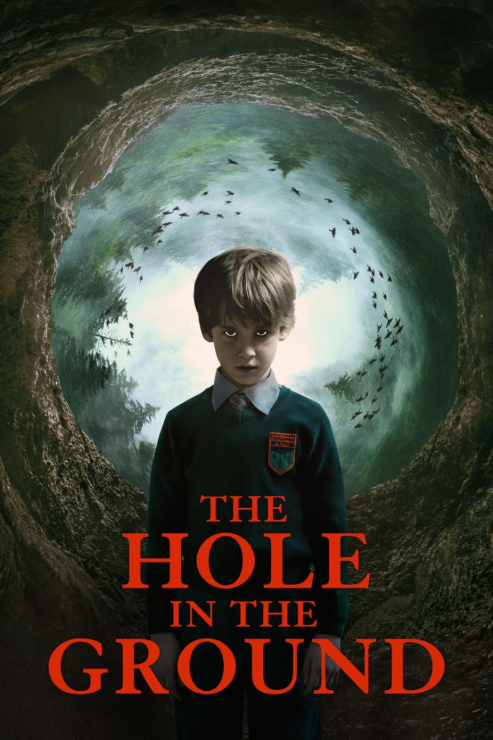 The Hole in the Ground i gruppen Alla filmer hos Mohamad shop (484437)
