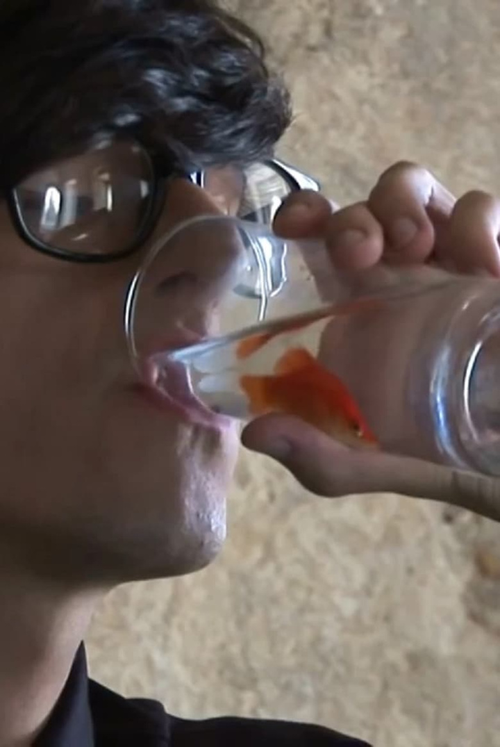 The State That I Am Fish i gruppen Alla filmer hos Mohamad shop (484552)