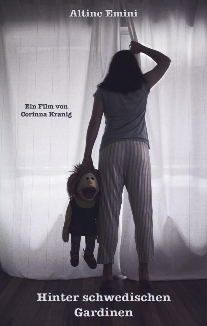 Hinter schwedischen Gardinen i gruppen Alla filmer hos Mohamad shop (484952)