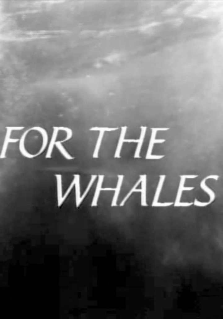 For The Whales i gruppen Alla filmer hos Mohamad shop (484999)