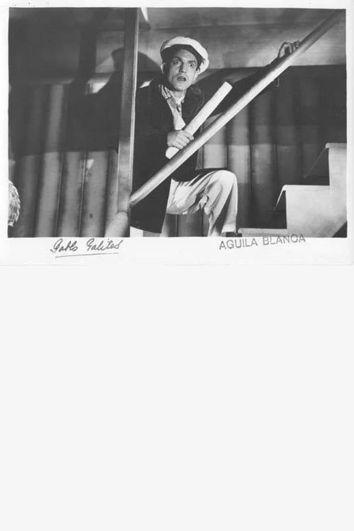 White Eagle i gruppen Alla filmer hos Mohamad shop (485067)