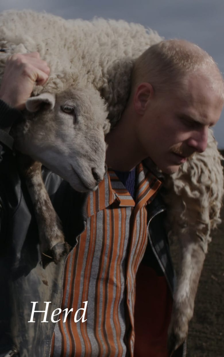 Herd i gruppen Alla filmer hos Mohamad shop (485239)