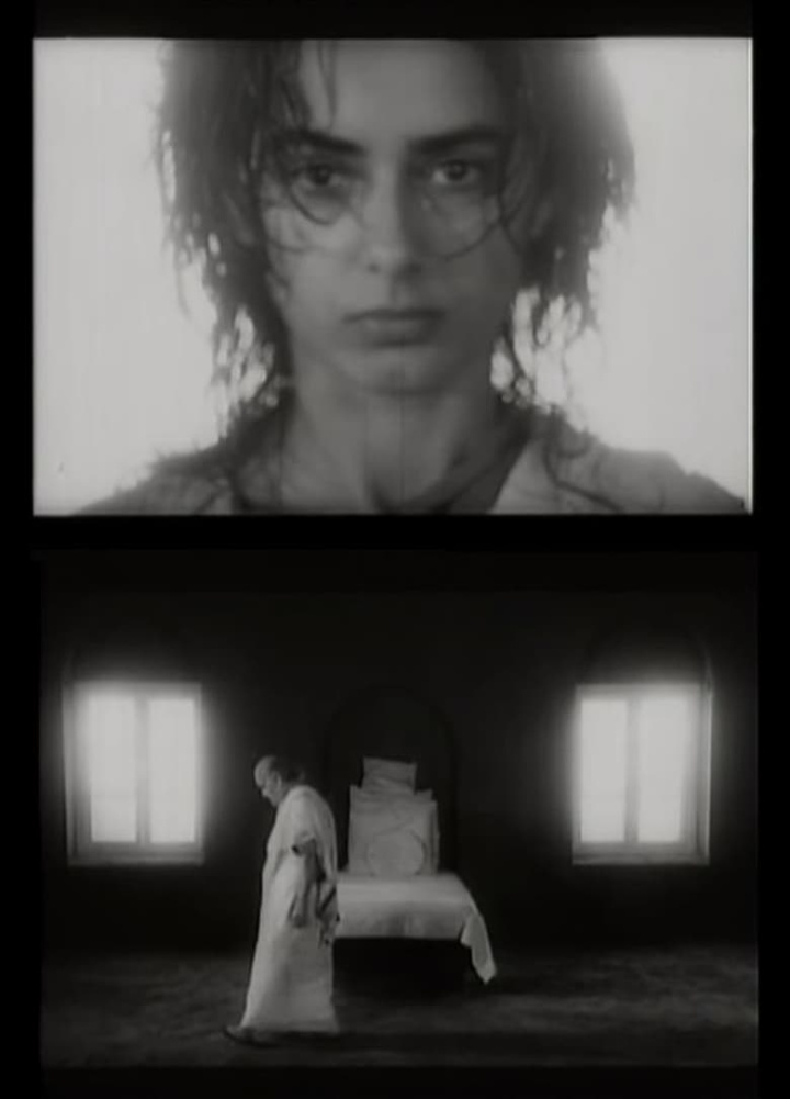 The Wisdom Tree i gruppen Alla filmer hos Mohamad shop (485383)