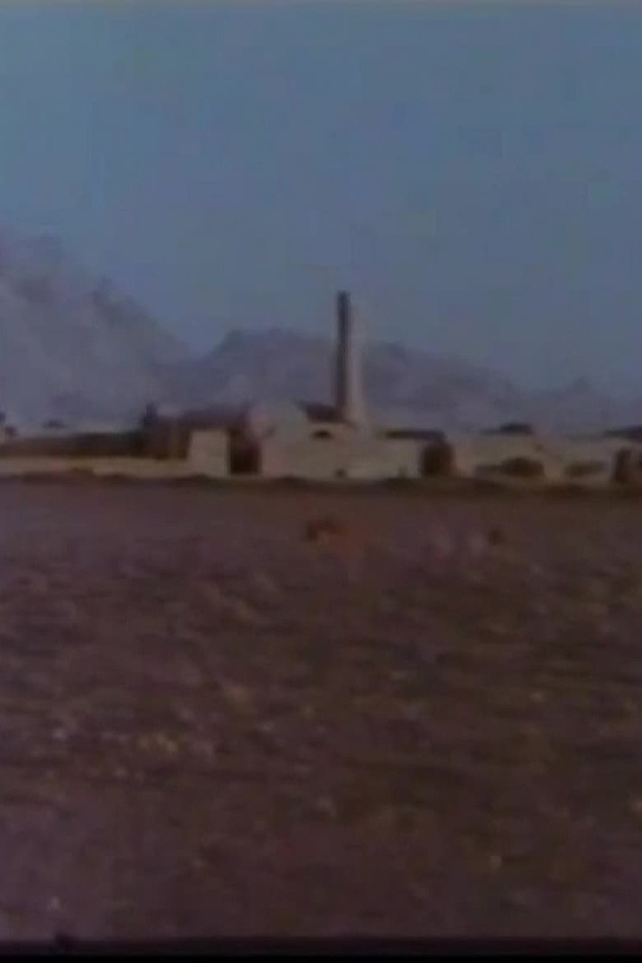 Jameh Mosque of Fahraj i gruppen Alla filmer hos Mohamad shop (485924)