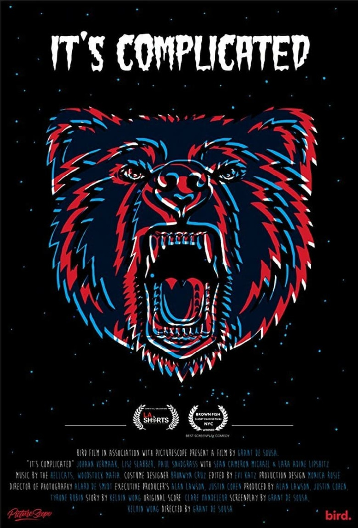 It\'s Complicated i gruppen Alla filmer hos Mohamad shop (486575)