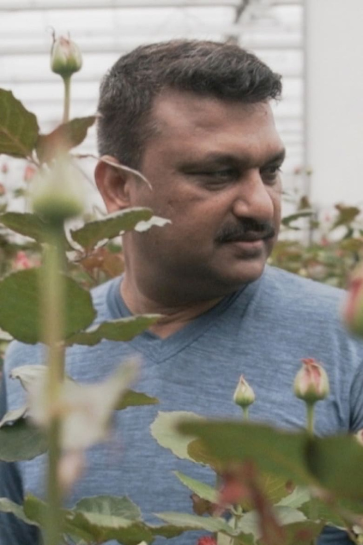 Rose Amongst Thorns i gruppen Alla filmer hos Mohamad shop (486742)