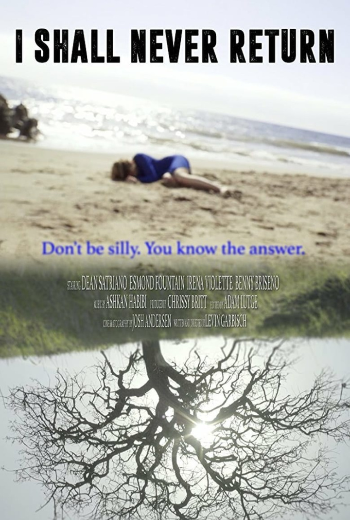 I Shall Never Return i gruppen Alla filmer hos Mohamad shop (486772)