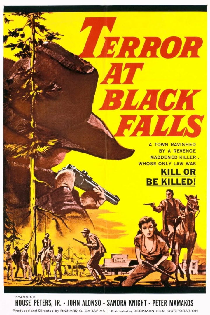 Terror At Black Falls i gruppen Alla filmer hos Mohamad shop (486980)