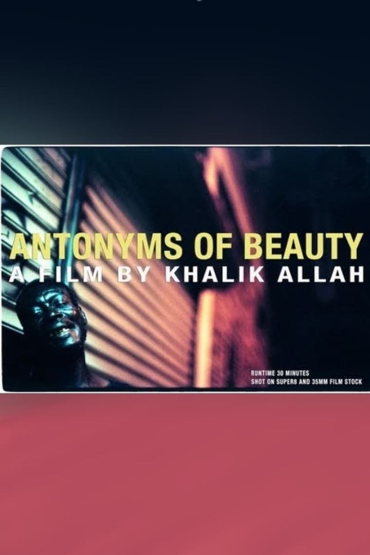 Antonyms of Beauty i gruppen Alla filmer hos Mohamad shop (487322)