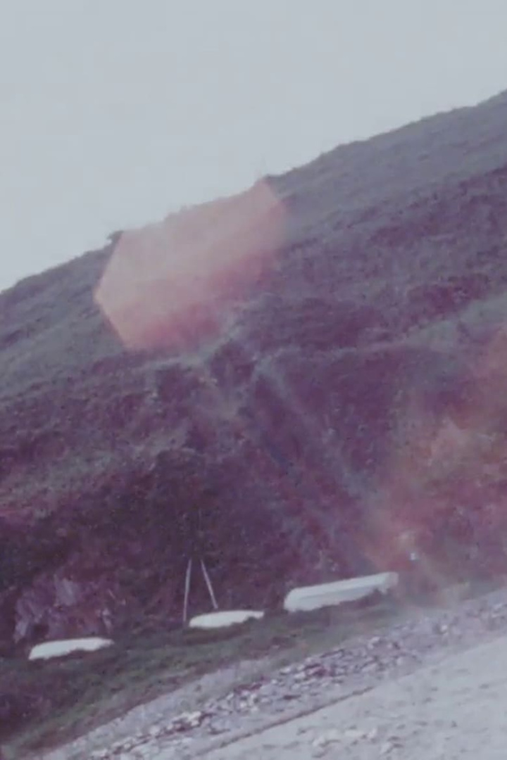 Fforest Bay II i gruppen Alla filmer hos Mohamad shop (487426)