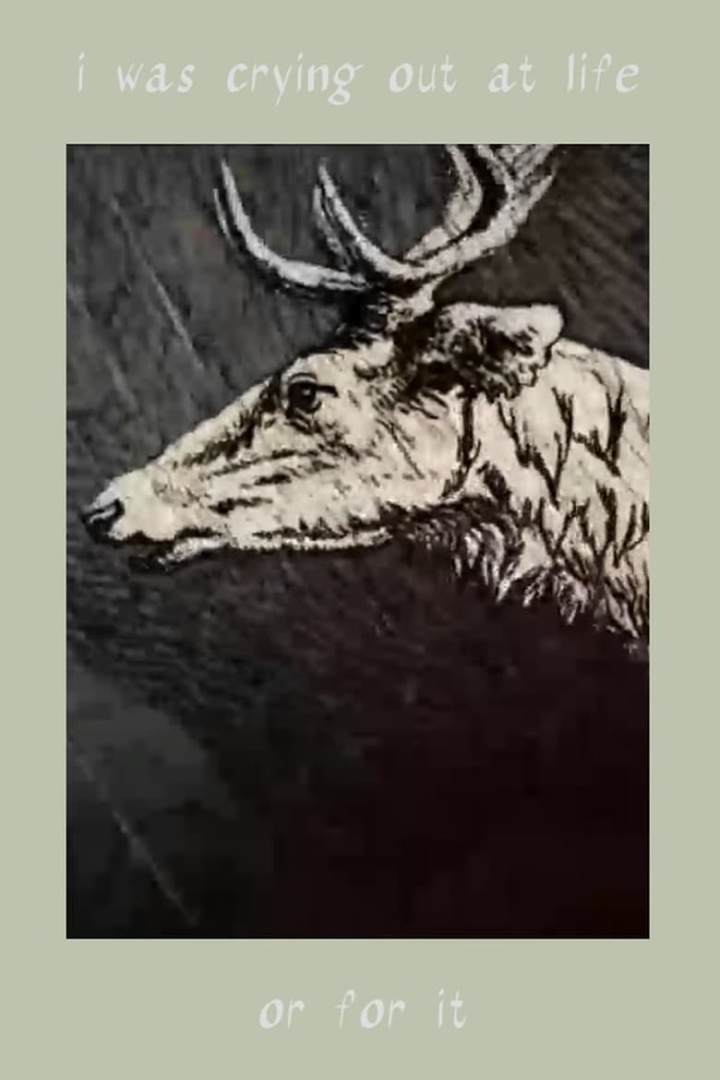 I Was Crying Out at Life. Or For It i gruppen Alla filmer hos Mohamad shop (487867)