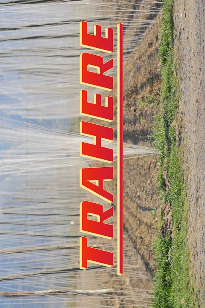 Trahere i gruppen Alla filmer hos Mohamad shop (488171)