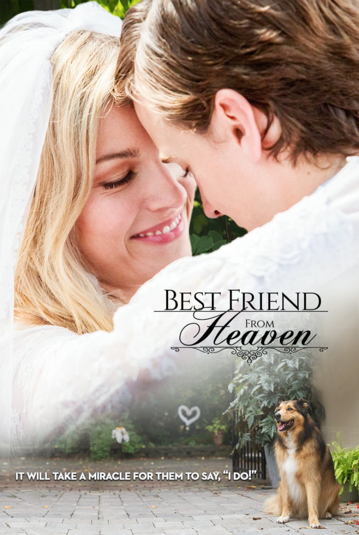 Best Friend from Heaven i gruppen Alla filmer hos Mohamad shop (488343)