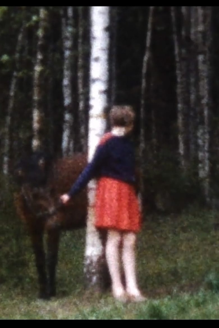 Världens sämsta hästtjej i gruppen Alla filmer hos Mohamad shop (488387)