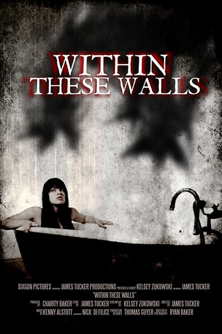 Within These Walls i gruppen Alla filmer hos Mohamad shop (488468)