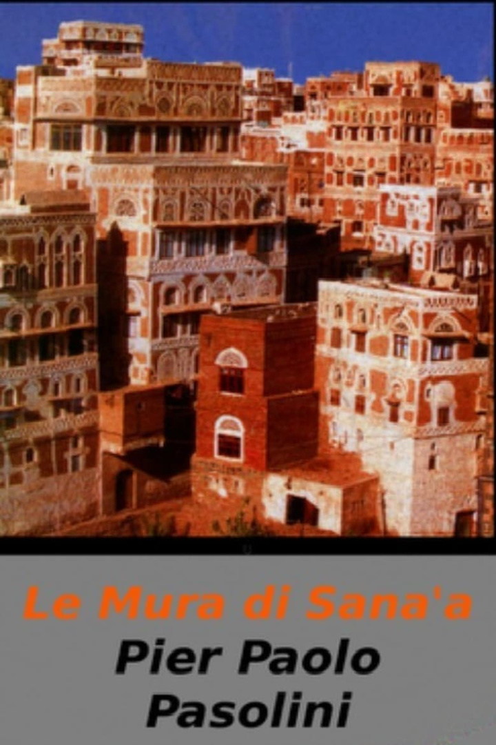 The Walls of Sana\'a i gruppen Alla filmer hos Mohamad shop (48869)