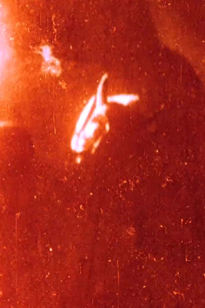 1+1+1 i gruppen Alla filmer hos Mohamad shop (488726)