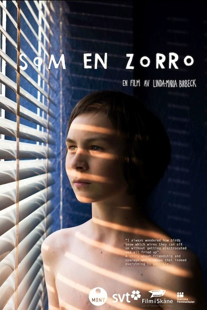 Just Like Zorro i gruppen Alla filmer hos Mohamad shop (488997)