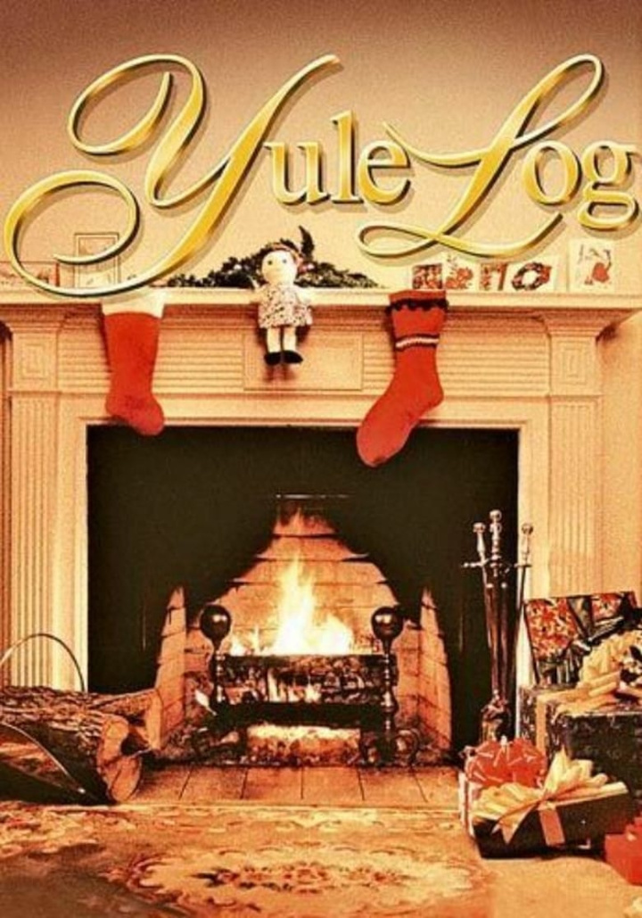 The Yule Log i gruppen Alla filmer hos Mohamad shop (489537)