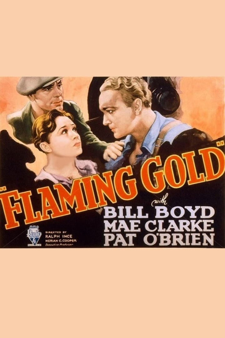 Flaming Gold i gruppen Alla filmer hos Mohamad shop (489650)