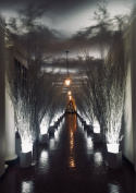 2017 Holiday Decorations at the White House