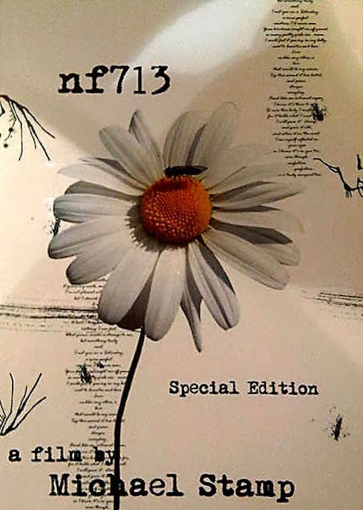 Nf713 i gruppen Alla filmer hos Mohamad shop (490353)