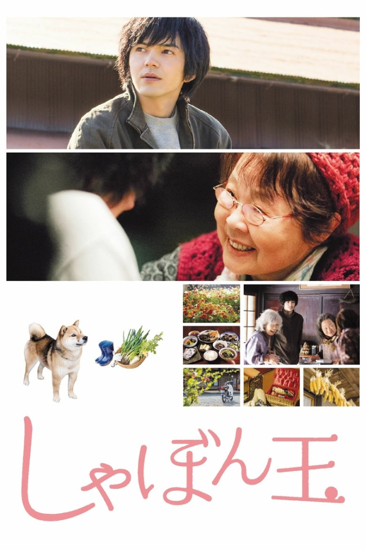 Where I Belong i gruppen Alla filmer hos Mohamad shop (490379)