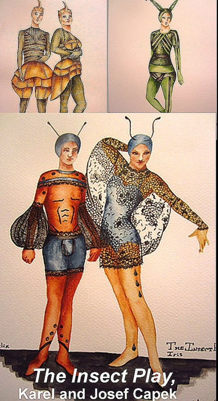The Insect Play i gruppen Alla filmer hos Mohamad shop (490386)