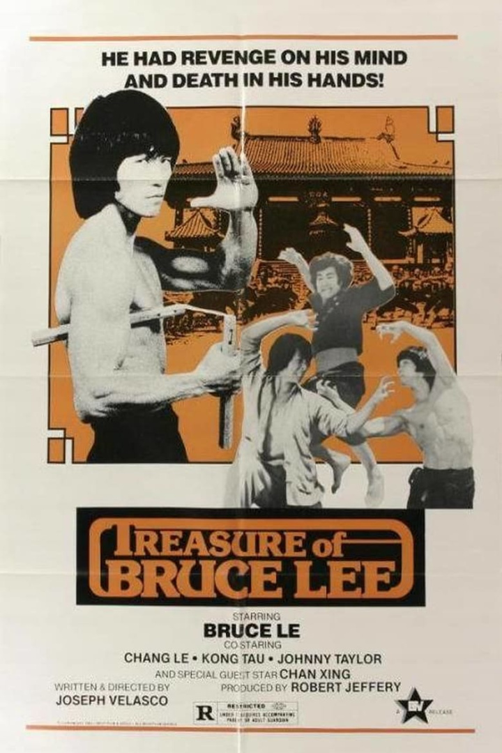 Treasure of Bruce Le i gruppen Alla filmer hos Mohamad shop (490464)
