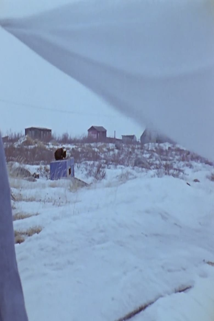 Some Natives of Churchill i gruppen Alla filmer hos Mohamad shop (490495)