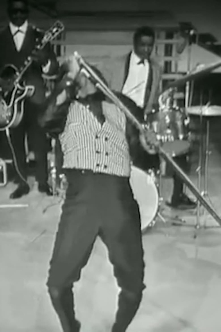 Love Is the Message, The Message Is Death i gruppen Alla filmer hos Mohamad shop (491334)