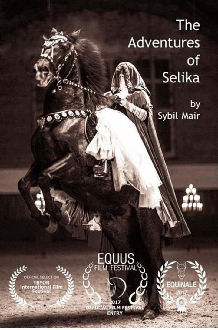 The Adventures of Selika i gruppen Alla filmer hos Mohamad shop (491565)