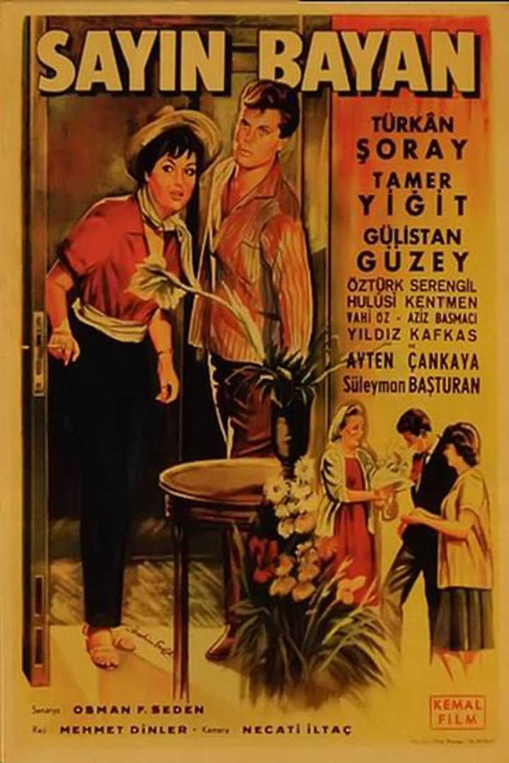 Sayın Bayan i gruppen Alla filmer hos Mohamad shop (491665)