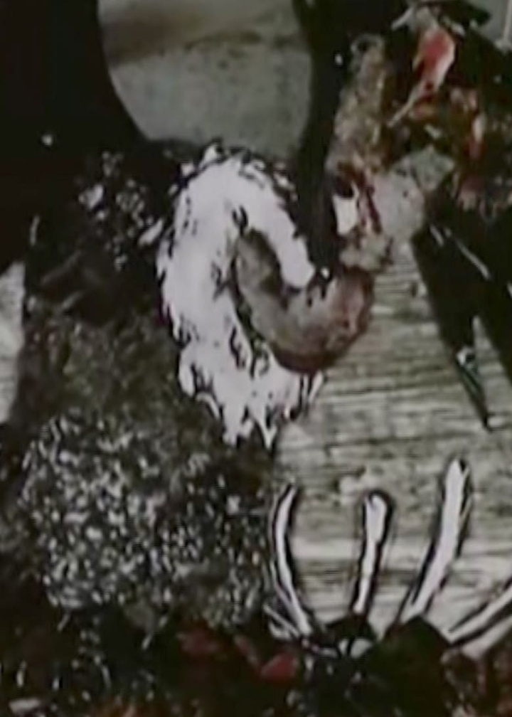 Czas sępa i gruppen Alla filmer hos Mohamad shop (491754)