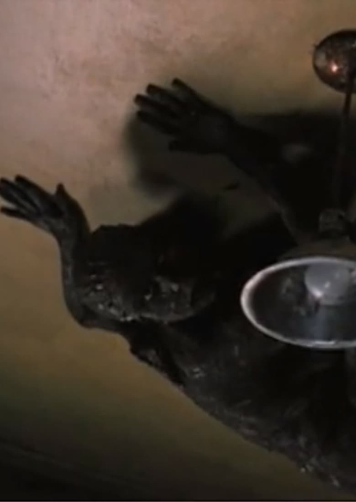 QM, I Think I\'ll Call Her QM i gruppen Alla filmer hos Mohamad shop (492207)