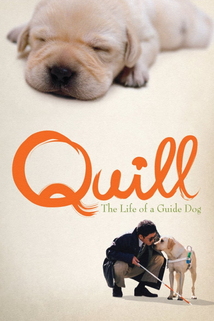 Quill: The Life of a Guide Dog i gruppen Drama hos Mohamad shop (49258)