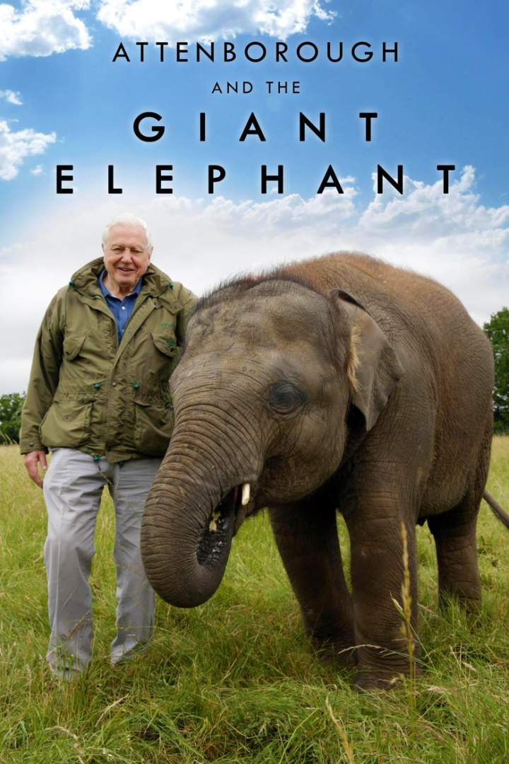 Attenborough and the Giant Elephant i gruppen Alla filmer hos Mohamad shop (492729)