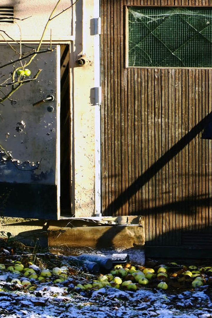 Dagerman: en garage musical i gruppen Alla filmer hos Mohamad shop (492779)