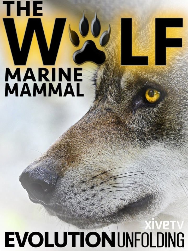 The Wolf: Marine Mammal i gruppen Alla filmer hos Mohamad shop (492859)