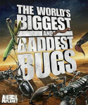 The World\'s Biggest and Baddest Bugs