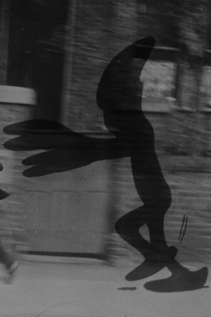 Shadows! i gruppen Alla filmer hos Mohamad shop (492975)