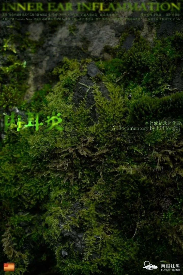 Inner Ear Inflammation i gruppen Alla filmer hos Mohamad shop (493481)